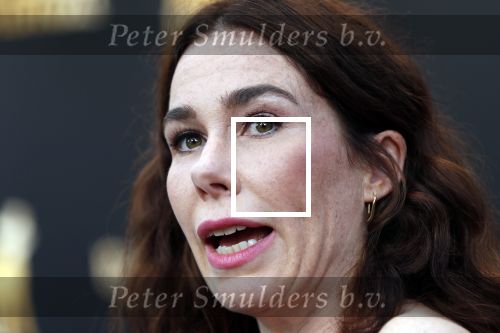 Utrecht 27 september 2019
Premiere Instinct tijdens de utrechtse filmdagen.
Halina Reijn deed de regie en Carice v Houten speelt de hoofdrol.