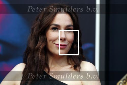 Utrecht 27 september 2019
Premiere Instinct tijdens de utrechtse filmdagen.
Halina Reijn deed de regie en Carice v Houten speelt de hoofdrol.