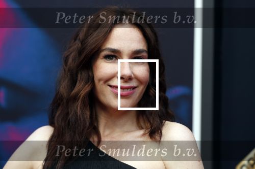 Utrecht 27 september 2019
Premiere Instinct tijdens de utrechtse filmdagen.
Halina Reijn deed de regie en Carice v Houten speelt de hoofdrol.