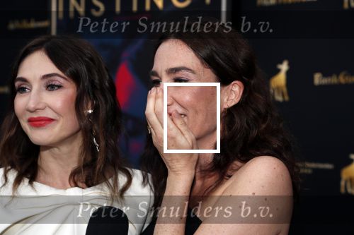 Utrecht 27 september 2019
Premiere Instinct tijdens de utrechtse filmdagen.
Halina Reijn deed de regie en Carice v Houten speelt de hoofdrol.