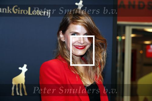 Utrecht 27 september 2019
Premiere Instinct tijdens de utrechtse filmdagen.
Halina Reijn deed de regie en Carice v Houten speelt de hoofdrol. Hanna Verboom