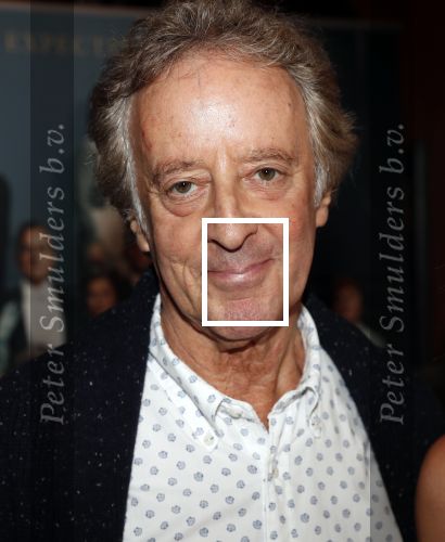 Amsterdam 11 augustus 2019
Premiere Downtown Abbey in pathe Tuschinski. 
Hans v Willigenburg kwam met Inge Ipenburg