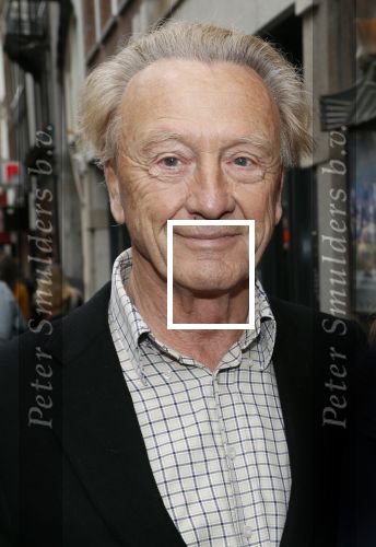 Amsterdam 11 augustus 2019
Premiere Downtown Abbey in pathe Tuschinski. Hidde Maas met zijn vrouw
