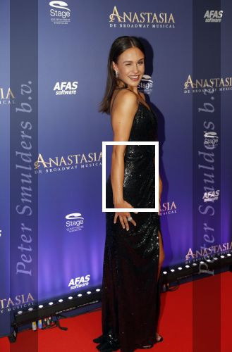 Scheveningen 22 september 2019
Premiere Anastasia in het afas Circustheater. Holly Brood kwam met vriend Soy Kroon