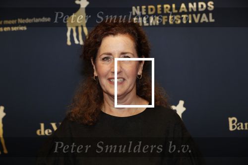 Utrecht 27 september 2019
Premiere Instinct tijdens de utrechtse filmdagen.
Halina Reijn deed de regie en Carice v Houten speelt de hoofdrol. Ingrid van Engelshoven