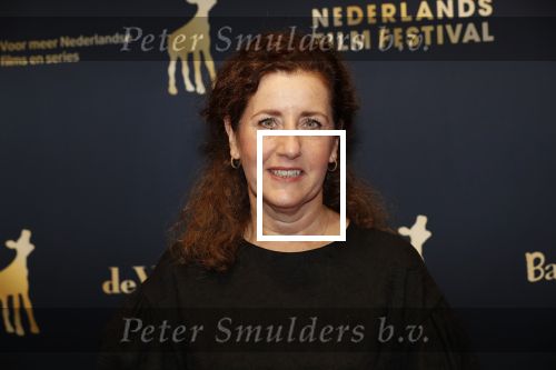 Utrecht 27 september 2019
Premiere Instinct tijdens de utrechtse filmdagen.
Halina Reijn deed de regie en Carice v Houten speelt de hoofdrol. Ingrid van Engelshoven