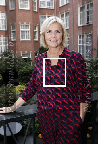 Amsterdam 10 september 2019
Presentatie celebaabs in hotel the Grand met oa Anouk Smulders Frits Sissing Dennis v d Geest Dennis Weening Dominique v Hulst ( zangeres Do) en  Irene moors . Celebabs is een idee van Tim Ouborg en Jeroen v d Boom