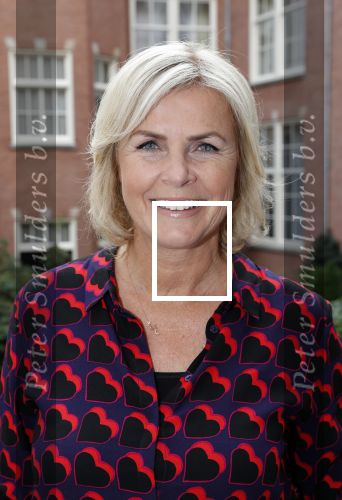Amsterdam 10 september 2019
Presentatie celebaabs in hotel the Grand met oa Anouk Smulders Frits Sissing Dennis v d Geest Dennis Weening Dominique v Hulst ( zangeres Do) en  Irene moors . Celebabs is een idee van Tim Ouborg en Jeroen v d Boom