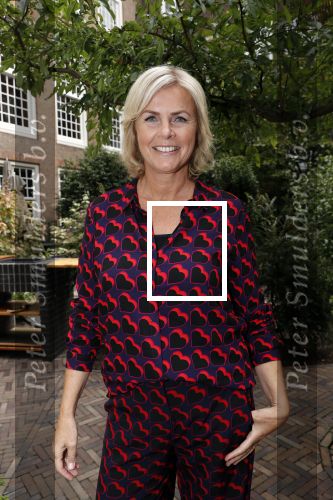 Amsterdam 10 september 2019
Presentatie celebaabs in hotel the Grand met oa Anouk Smulders Frits Sissing Dennis v d Geest Dennis Weening Dominique v Hulst ( zangeres Do) en  Irene moors . Celebabs is een idee van Tim Ouborg en Jeroen v d Boom