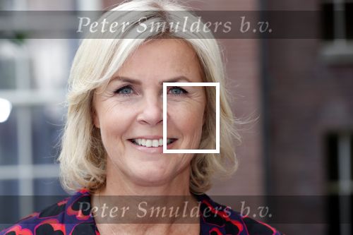 Amsterdam 10 september 2019
Presentatie celebaabs in hotel the Grand met oa Anouk Smulders Frits Sissing Dennis v d Geest Dennis Weening Dominique v Hulst ( zangeres Do) en  Irene moors . Celebabs is een idee van Tim Ouborg en Jeroen v d Boom