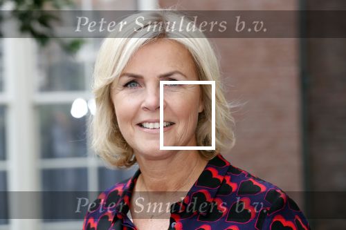 Amsterdam 10 september 2019
Presentatie celebaabs in hotel the Grand met oa Anouk Smulders Frits Sissing Dennis v d Geest Dennis Weening Dominique v Hulst ( zangeres Do) en  Irene moors . Celebabs is een idee van Tim Ouborg en Jeroen v d Boom