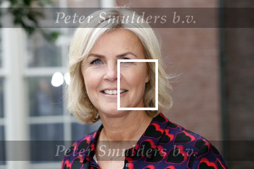 Amsterdam 10 september 2019
Presentatie celebaabs in hotel the Grand met oa Anouk Smulders Frits Sissing Dennis v d Geest Dennis Weening Dominique v Hulst ( zangeres Do) en  Irene moors . Celebabs is een idee van Tim Ouborg en Jeroen v d Boom