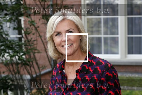 Amsterdam 10 september 2019
Presentatie celebaabs in hotel the Grand met oa Anouk Smulders Frits Sissing Dennis v d Geest Dennis Weening Dominique v Hulst ( zangeres Do) en  Irene moors . Celebabs is een idee van Tim Ouborg en Jeroen v d Boom