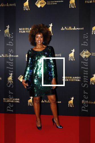 Utrecht 27 september 2019
Premiere Instinct tijdens de utrechtse filmdagen.
Halina Reijn deed de regie en Carice v Houten speelt de hoofdrol. Jasmine Sendar
