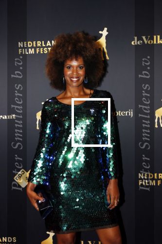 Utrecht 27 september 2019
Premiere Instinct tijdens de utrechtse filmdagen.
Halina Reijn deed de regie en Carice v Houten speelt de hoofdrol. Jasmine Sendar
