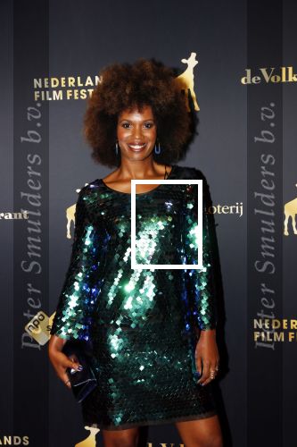 Utrecht 27 september 2019
Premiere Instinct tijdens de utrechtse filmdagen.
Halina Reijn deed de regie en Carice v Houten speelt de hoofdrol. Jasmine Sendar
