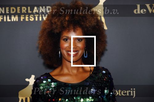 Utrecht 27 september 2019
Premiere Instinct tijdens de utrechtse filmdagen.
Halina Reijn deed de regie en Carice v Houten speelt de hoofdrol. Jasmine Sendar