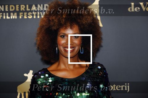 Utrecht 27 september 2019
Premiere Instinct tijdens de utrechtse filmdagen.
Halina Reijn deed de regie en Carice v Houten speelt de hoofdrol. Jasmine Sendar