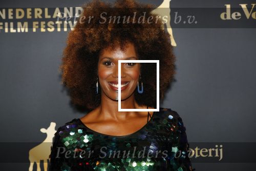 Utrecht 27 september 2019
Premiere Instinct tijdens de utrechtse filmdagen.
Halina Reijn deed de regie en Carice v Houten speelt de hoofdrol. Jasmine Sendar