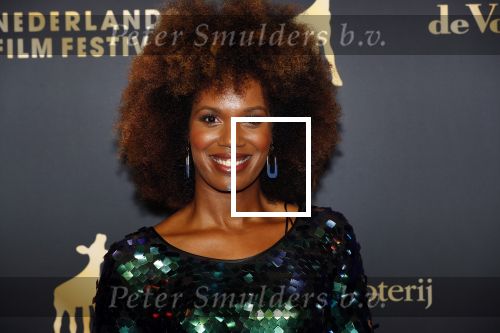 Utrecht 27 september 2019
Premiere Instinct tijdens de utrechtse filmdagen.
Halina Reijn deed de regie en Carice v Houten speelt de hoofdrol. Jasmine Sendar