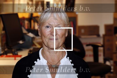 Amsterdam 27 september 2019
Boekpresentatie van Koos Alberts geschreven door zijn dochter Christa Krommenhoek. Presentatie is bij Scheltema. Joke Alberts