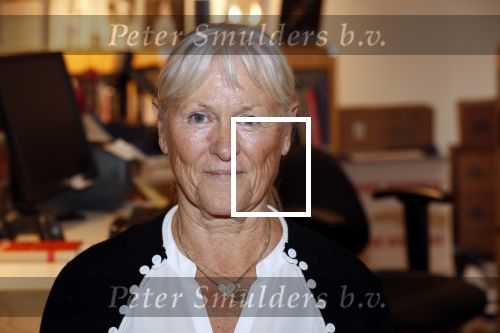 Amsterdam 27 september 2019
Boekpresentatie van Koos Alberts geschreven door zijn dochter Christa Krommenhoek. Presentatie is bij Scheltema. Joke Alberts