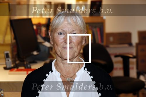 Amsterdam 27 september 2019
Boekpresentatie van Koos Alberts geschreven door zijn dochter Christa Krommenhoek. Presentatie is bij Scheltema. Joke Alberts