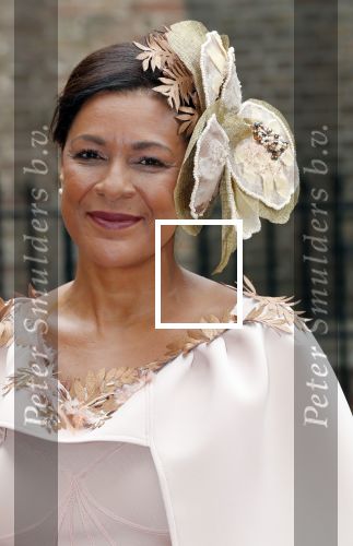 Den Haag 17 september 2019
Prinsjesdag 2019 op het binnenhof.
Jorien Wuite