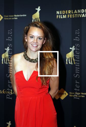 Utrecht 27 september 2019
Premiere Instinct tijdens de utrechtse filmdagen.
Halina Reijn deed de regie en Carice v Houten speelt de hoofdrol. Juliette van Ardenne
