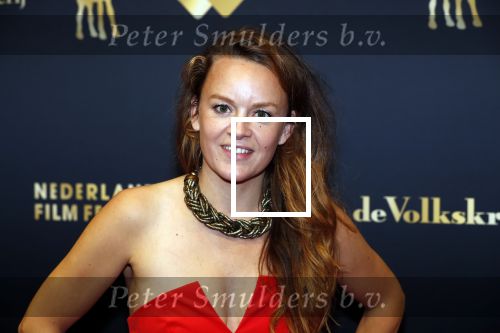 Utrecht 27 september 2019
Premiere Instinct tijdens de utrechtse filmdagen.
Halina Reijn deed de regie en Carice v Houten speelt de hoofdrol. Juliette van Ardenne