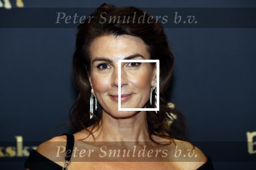 Utrecht 27 september 2019
Premiere Instinct tijdens de utrechtse filmdagen.
Halina Reijn deed de regie en Carice v Houten speelt de hoofdrol. Kim v Kooten kwam met man Jacob Derwig