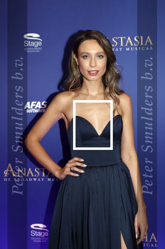 Scheveningen 22 september 2019
Premiere Anastasia in het afas Circustheater. Loiza Lamers