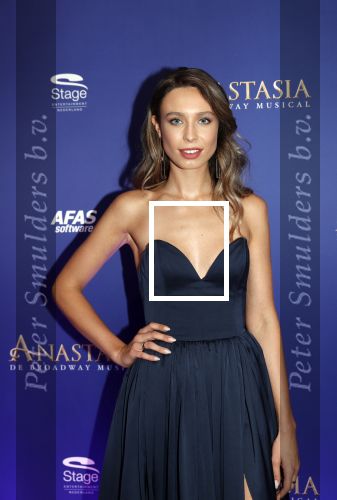Scheveningen 22 september 2019
Premiere Anastasia in het afas Circustheater. Loiza Lamers
