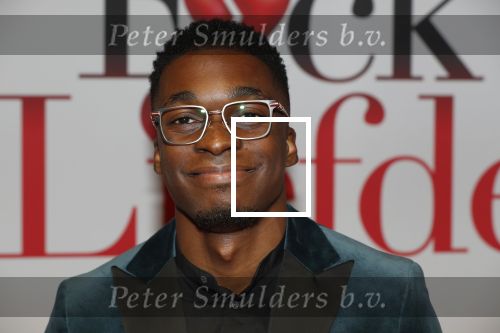 Amsterdam 30 september 2019
Premiere Fuck de liefde in Tuschinski. Maurits Delschot