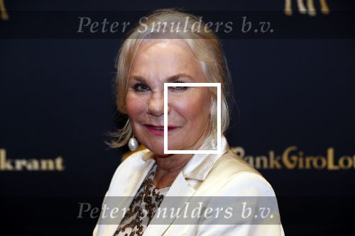 Utrecht 27 september 2019
Premiere Instinct tijdens de utrechtse filmdagen.
Halina Reijn deed de regie en Carice v Houten speelt de hoofdrol. Monique v d Ven kwam met haar man Edwin de Vries