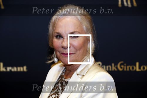 Utrecht 27 september 2019
Premiere Instinct tijdens de utrechtse filmdagen.
Halina Reijn deed de regie en Carice v Houten speelt de hoofdrol. Monique v d Ven kwam met haar man Edwin de Vries