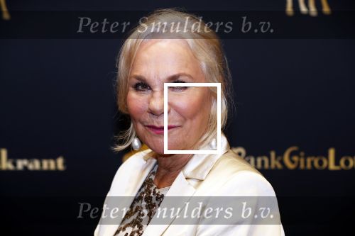 Utrecht 27 september 2019
Premiere Instinct tijdens de utrechtse filmdagen.
Halina Reijn deed de regie en Carice v Houten speelt de hoofdrol. Monique v d Ven kwam met haar man Edwin de Vries