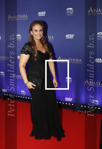 Scheveningen 22 september 2019
Premiere Anastasia in het afas Circustheater. Nathalie koffietijd