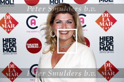 Amsterdam 19 september 2019
Premiere Johnny de Mol in het delamar theater. Pauline Wingelaar en partner Harmen