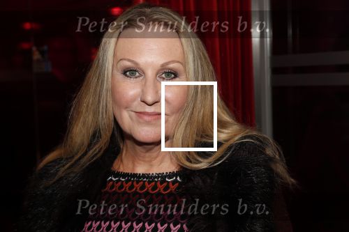 Amstelveen 23 september 2019
Premiere Renee v Wegberg zingt Shaffy en List in schouwburg Amstelveen.
Petra Berger kwam met zijn dochter