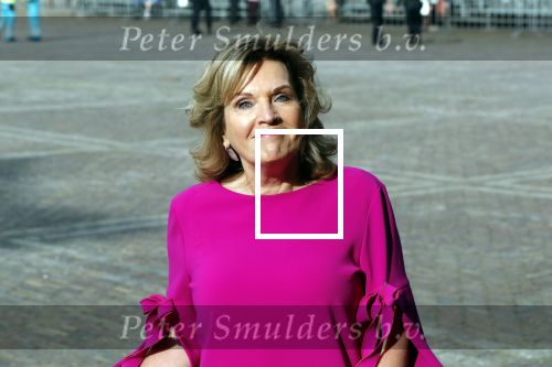 Den Haag 17 september 2019
Prinsjesdag 2019 op het binnenhof.
Pia Dijkstra