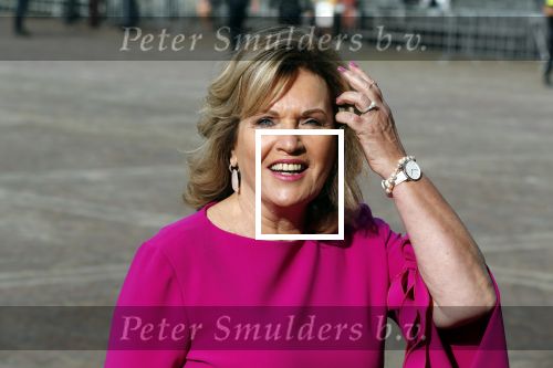 Den Haag 17 september 2019
Prinsjesdag 2019 op het binnenhof.
Pia Dijkstra