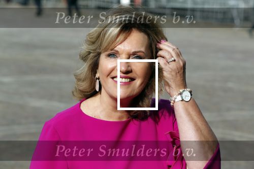 Den Haag 17 september 2019
Prinsjesdag 2019 op het binnenhof.
Pia Dijkstra