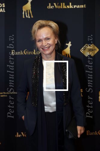 Utrecht 27 september 2019
Premiere Instinct tijdens de utrechtse filmdagen.
Halina Reijn deed de regie en Carice v Houten speelt de hoofdrol. Renee Soutendijk