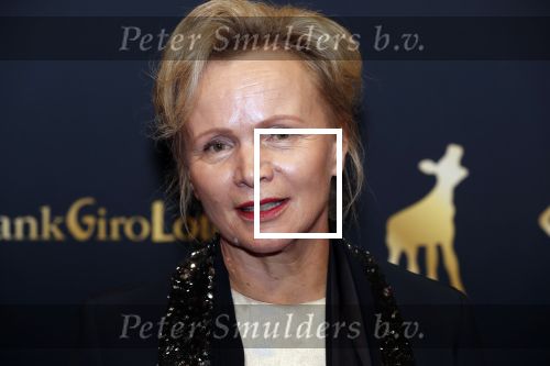 Utrecht 27 september 2019
Premiere Instinct tijdens de utrechtse filmdagen.
Halina Reijn deed de regie en Carice v Houten speelt de hoofdrol. Renee Soutendijk