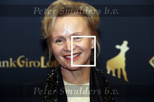 Utrecht 27 september 2019
Premiere Instinct tijdens de utrechtse filmdagen.
Halina Reijn deed de regie en Carice v Houten speelt de hoofdrol. Renee Soutendijk