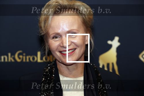 Utrecht 27 september 2019
Premiere Instinct tijdens de utrechtse filmdagen.
Halina Reijn deed de regie en Carice v Houten speelt de hoofdrol. Renee Soutendijk