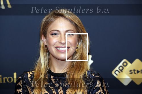 Utrecht 27 september 2019
Premiere Instinct tijdens de utrechtse filmdagen.
Halina Reijn deed de regie en Carice v Houten speelt de hoofdrol. Sarah Chronis