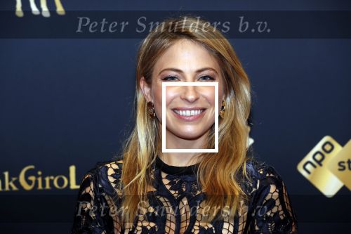Utrecht 27 september 2019
Premiere Instinct tijdens de utrechtse filmdagen.
Halina Reijn deed de regie en Carice v Houten speelt de hoofdrol. Sarah Chronis