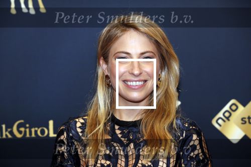 Utrecht 27 september 2019
Premiere Instinct tijdens de utrechtse filmdagen.
Halina Reijn deed de regie en Carice v Houten speelt de hoofdrol. Sarah Chronis